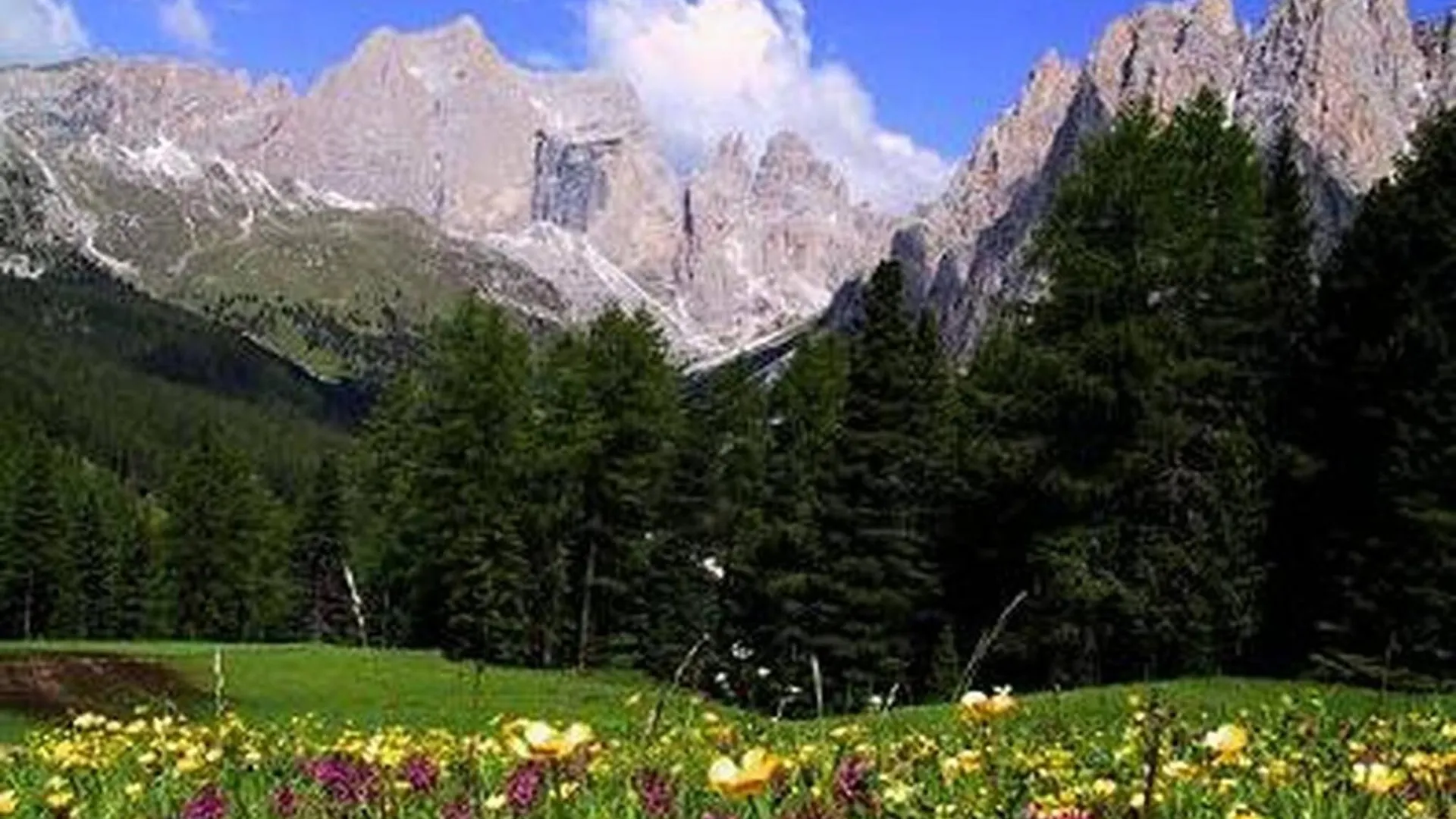 Comfortable House - Garden And Parking Appartamento Farra di Soligo