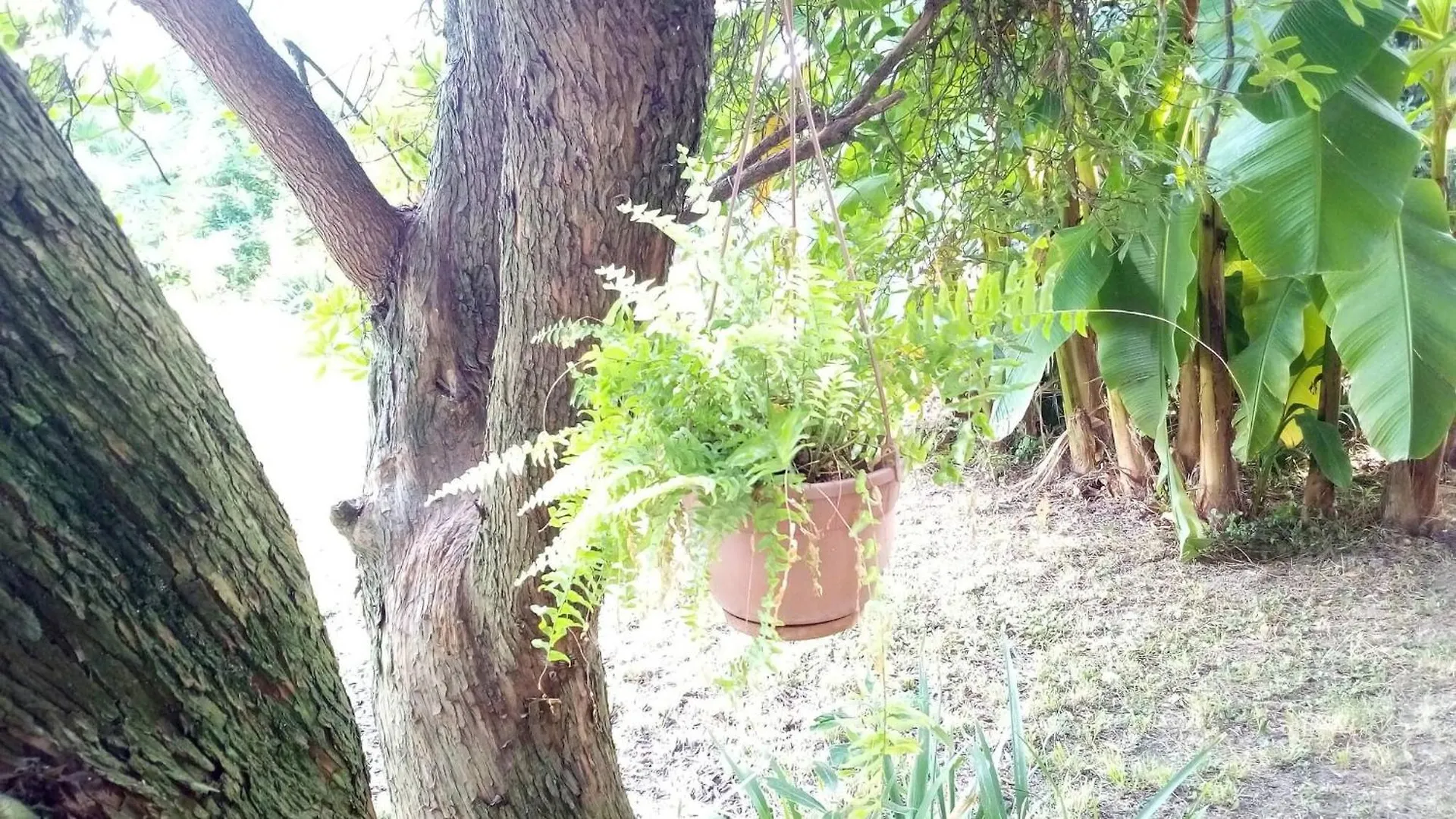 Appartamento Comfortable House - Garden And Parking